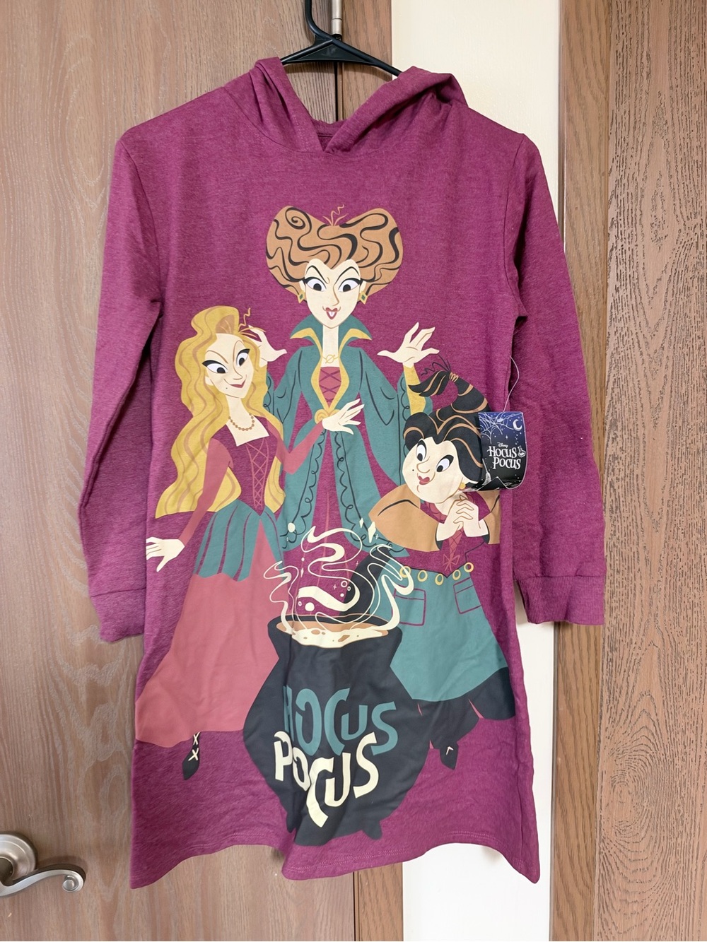 Disney Kids Hocus Pocus Graphic Hoodie Dress in Plum and Teal